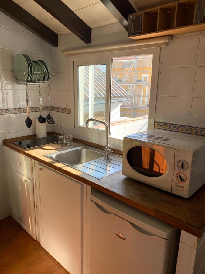 Апартаменты Stunning Attic With Private Terrace And Parking Optional Севилья Экстерьер фото